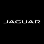 Jaguar Clear Lake